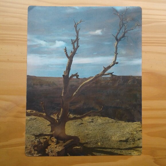 Collection of Vintage Photo Prints - Picture 3 of 6